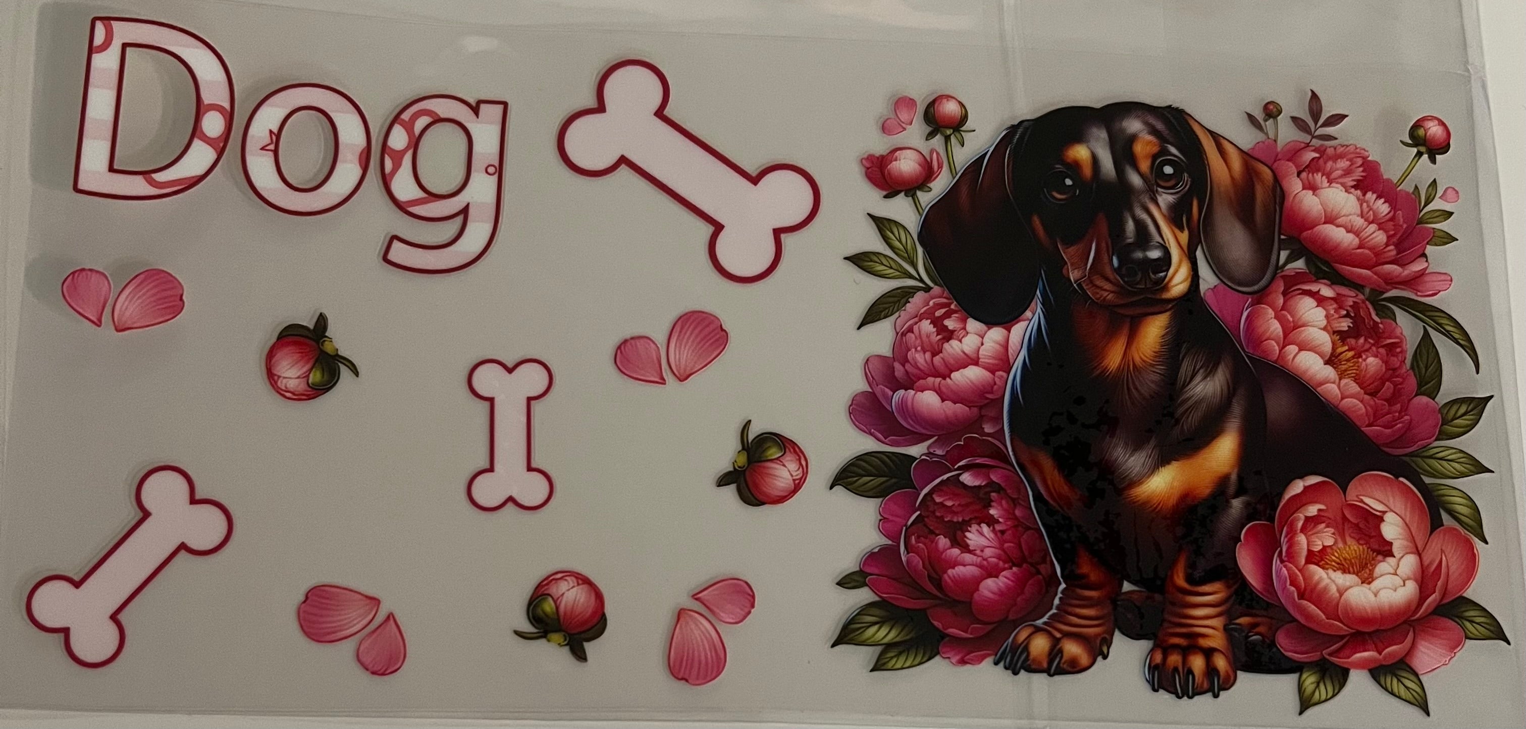 Decal#16